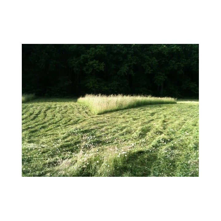 Bubnová sekačka LUMAG HGS-87564 – záběr 64 cm, Briggs & Stratton